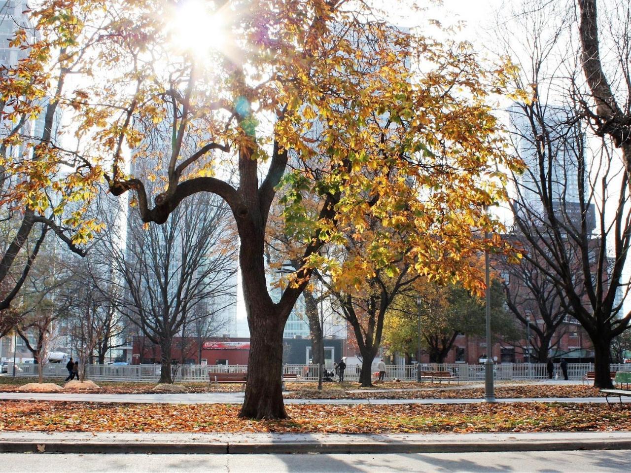 نزل تورونتوفي The Clarence Park المظهر الخارجي الصورة